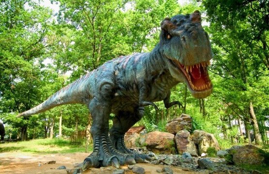 dino parc rasnov de vizitat cand stai la magura la westwand villas